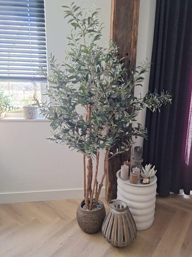 Customer photo review of Kunst Olijfboom 180cm