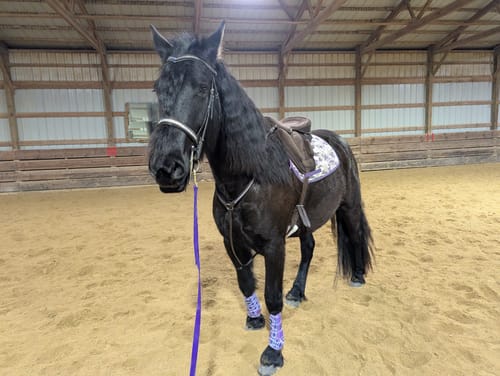 Customer photo review of PURPLE CASSIDY WITH SPARKLE VELCRO SPLINT BOOTS (PAIR)