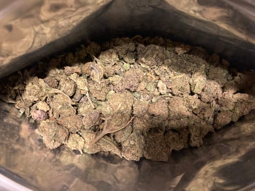 Customer photo review of Hash Plant THCA Kief Trim