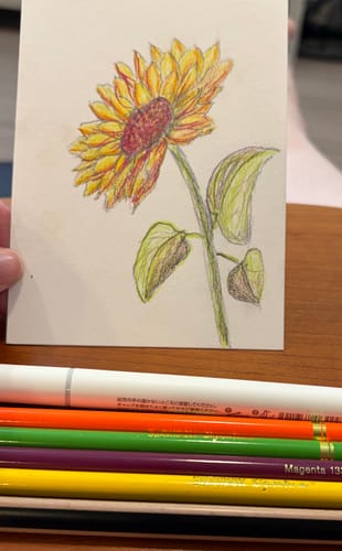 Customer photo review of SketchBox Signature Colored Pencil Tin 6 Set