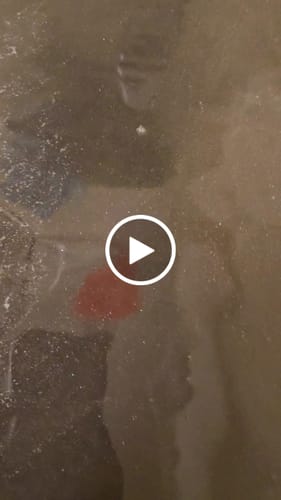 Customer video review of LILITH "The Dark Mother" Bath Potion