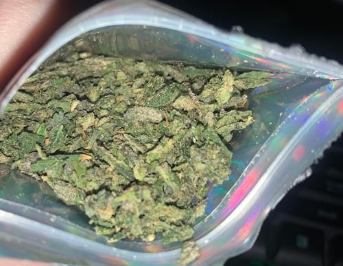 Customer photo review of Greenhouse Smalls