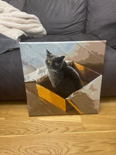 Customer photo review of Malowanie po numerach z własnego zdjęcia