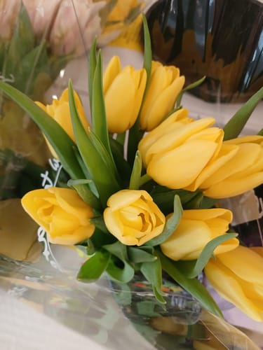 Customer photo review of Grit Fuel Endurance Capsules - 30 Capsule Bottle