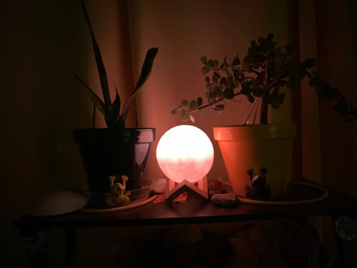 Customer's Modern Moon Light Lamp glowing warmly on a dark shelf between two potted plants.