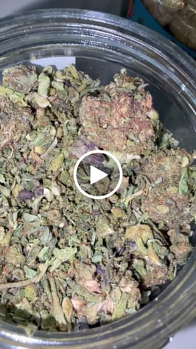 Customer video review of Dank Gelato Trim THCA Flower