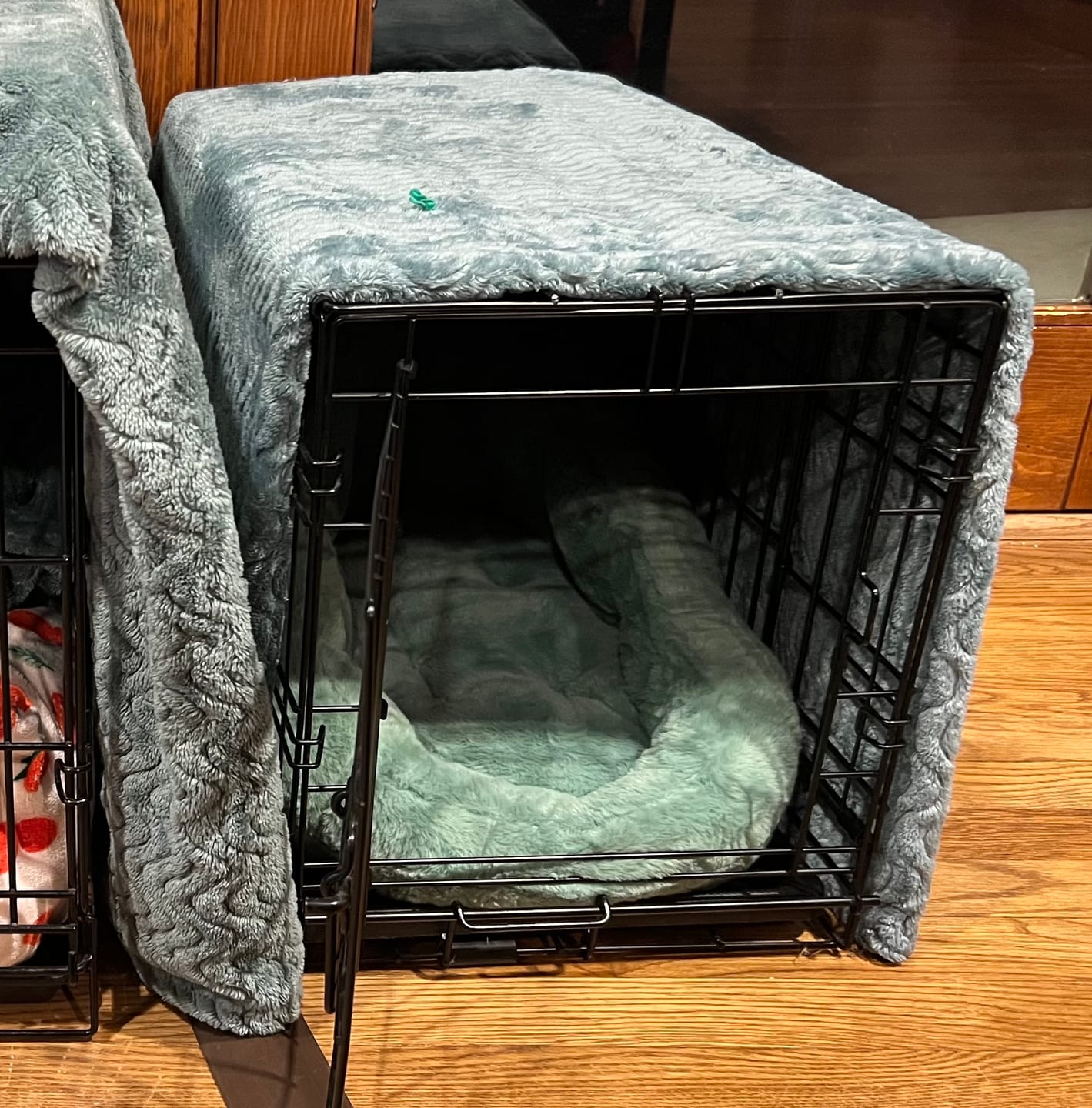 Customer photo review of Calming Lounger Dog Bed