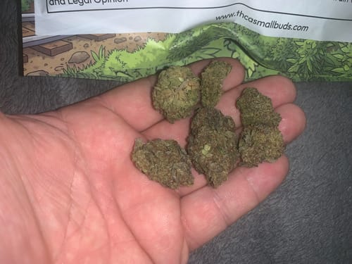Customer photo review of Cheap THCA Flower Ounce