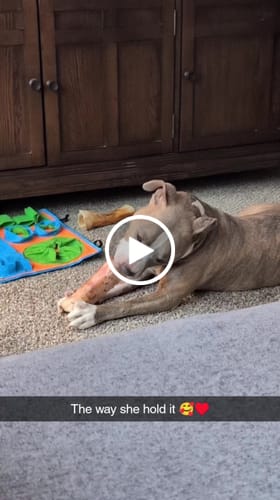 Customer video review of Large Dog Valentine's Day Love Bundle II (4x 5oz Jerky Bags + 4x LARGE Smoked Marrow Bones)