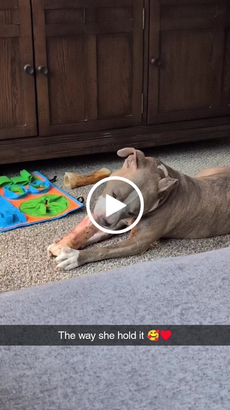 Customer video review of Large Dog Valentine's Day Love Bundle II (4x 5oz Jerky Bags + 4x LARGE Smoked Marrow Bones)