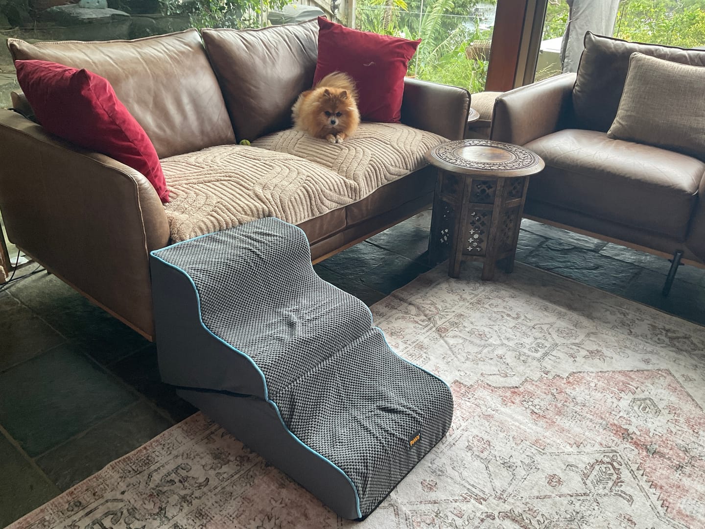 Customer photo review of Dog Steps Adjustable 3-Steps Dog Ramp Portable Pet 2-in-1 Stairs Bed Sofa