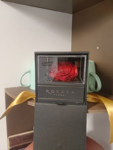 Customer photo review of Everty