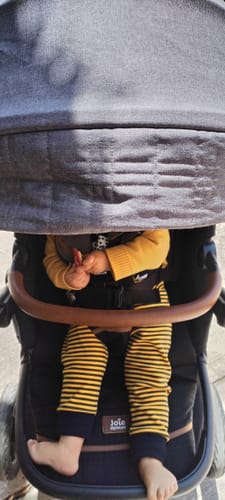 Customer photo review of Carriola Vinca