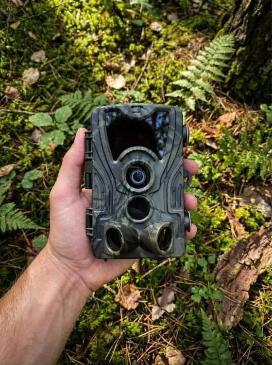 Customer photo review of Caméra de chasse 4K avec écran - SecurChasse®