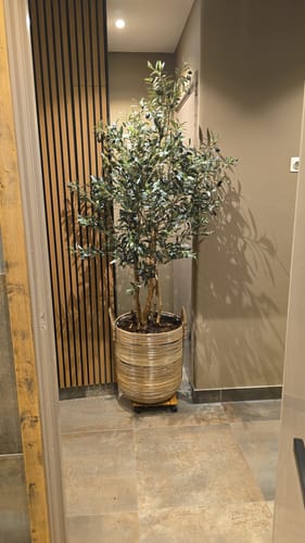 Customer photo review of Kunst Olijfboom 180cm