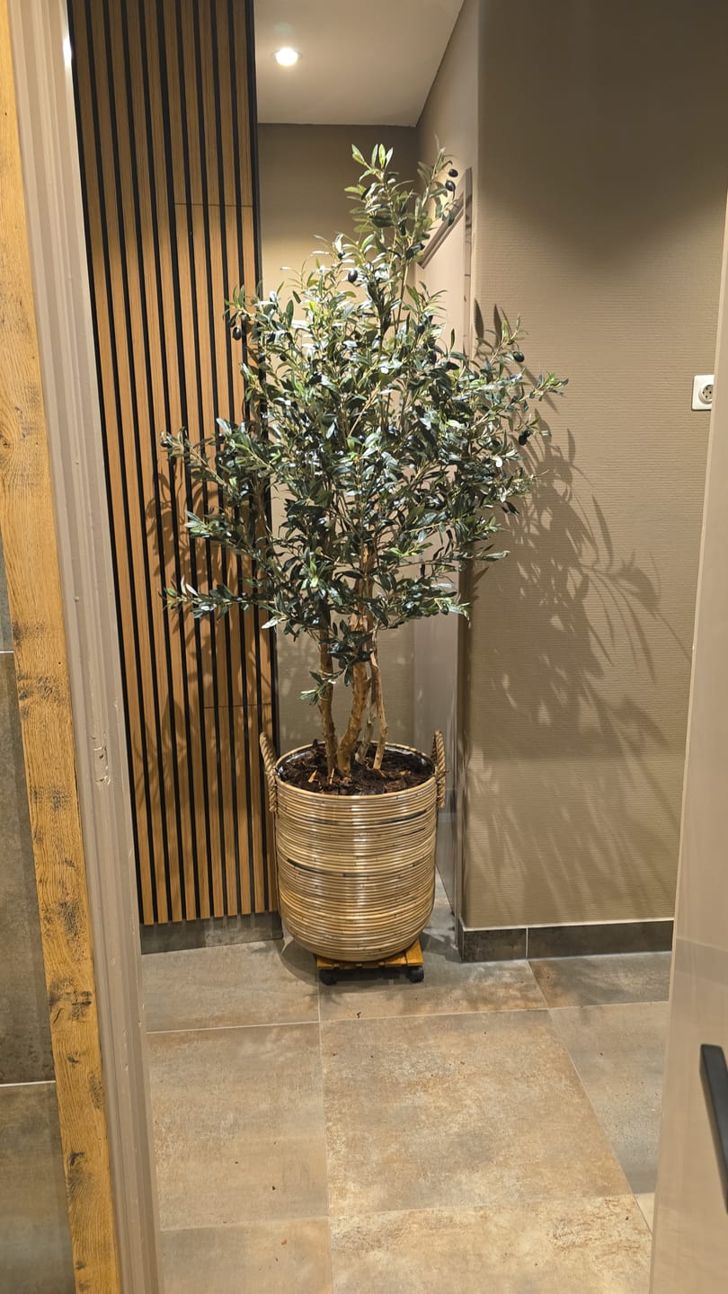 Customer photo review of Kunst Olijfboom 180cm