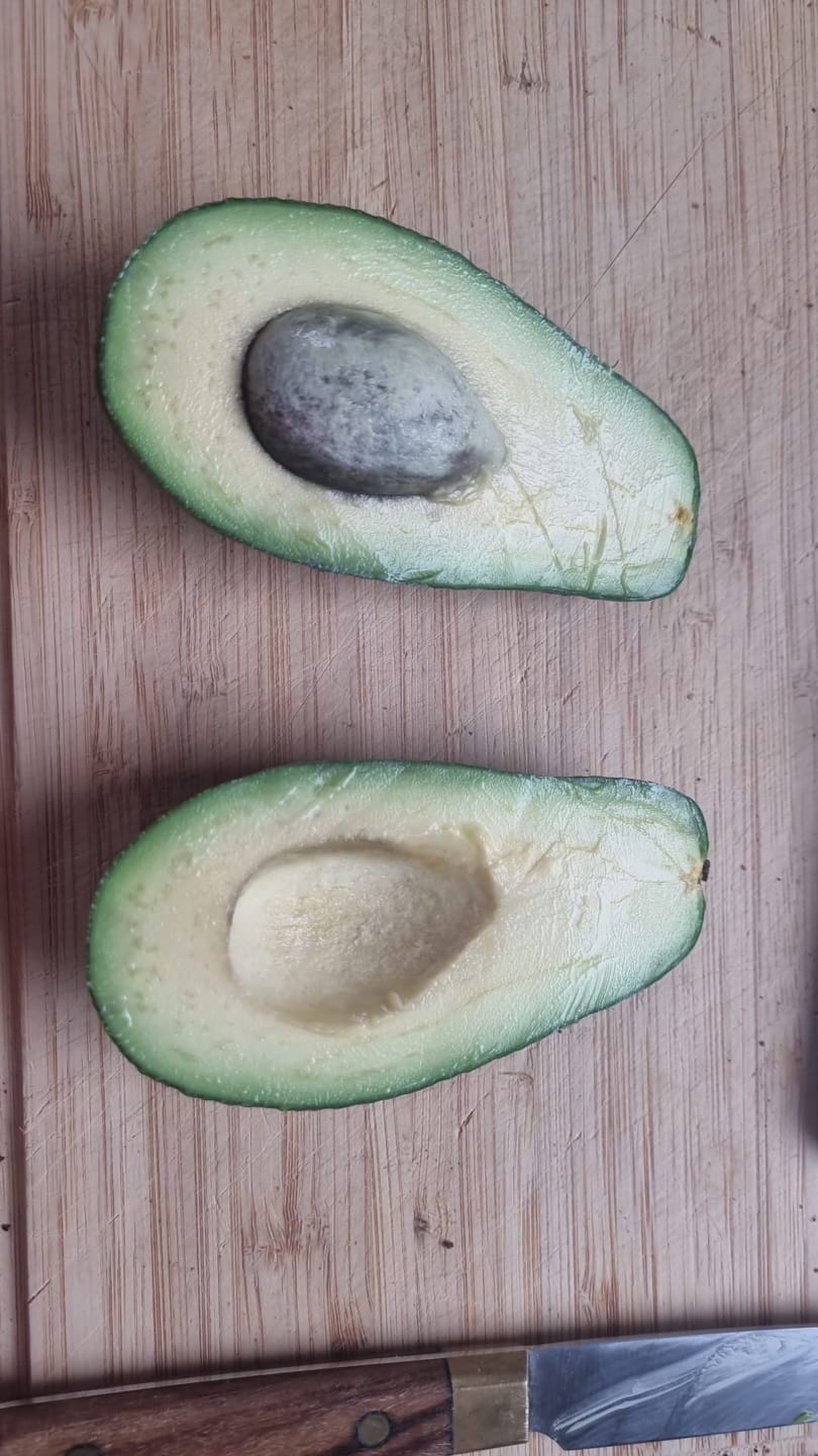 Customer photo review of Avocado Fuerte Bio von Julian Aktionspreis %
