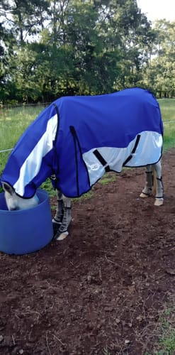 Customer photo review of NZ Tack WaterProof Mesh CrossOver Combo Purple
