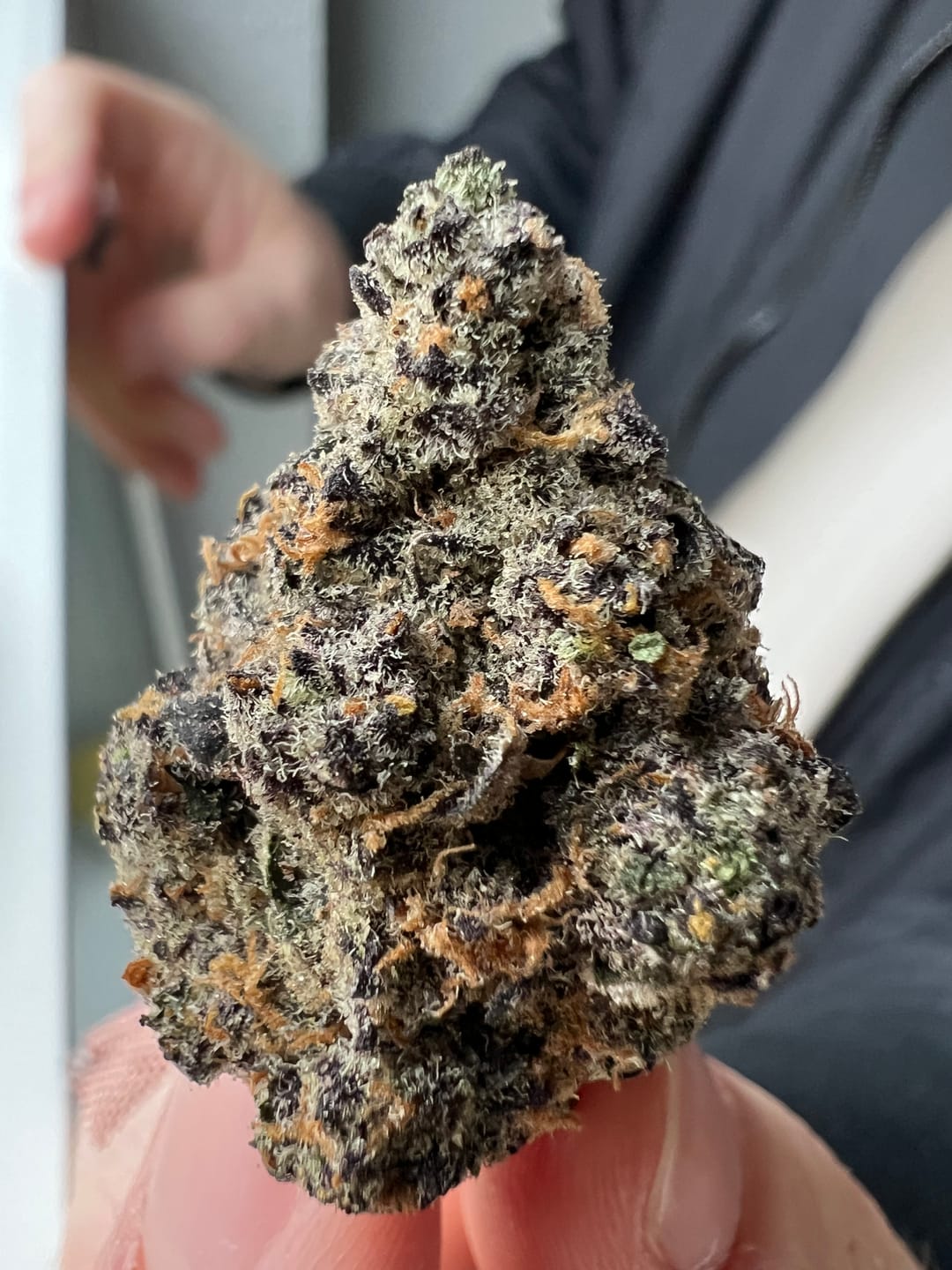 Customer photo review of Super Boof