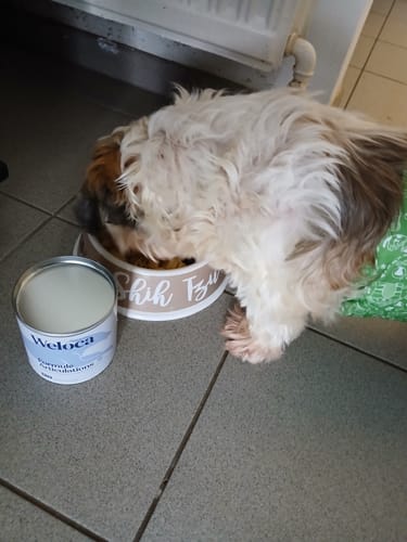 Customer photo review of Complément articulations