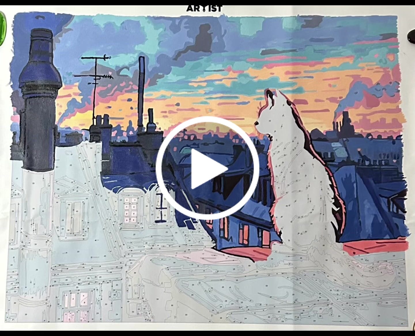 Customer video review of Night Cat