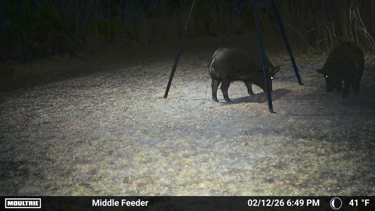 Customer photo review of Powereful Solar Green Feeder Light for Hunting-25,000 lumens