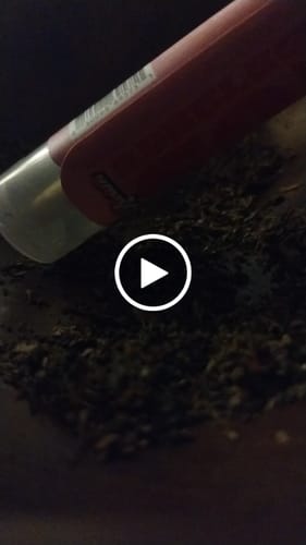 Customer video review of BUBBLEGUM GELATO CONES