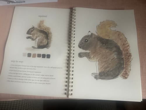 Customer photo review of Aquarellfarben Arbeitsbuch