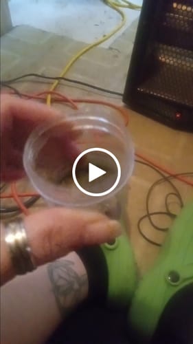 Customer video review of Sugar Shake - 1oz