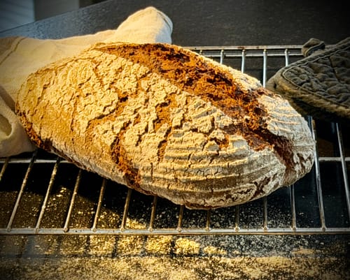 Customer photo review of BIO Brotgewürz (150g)