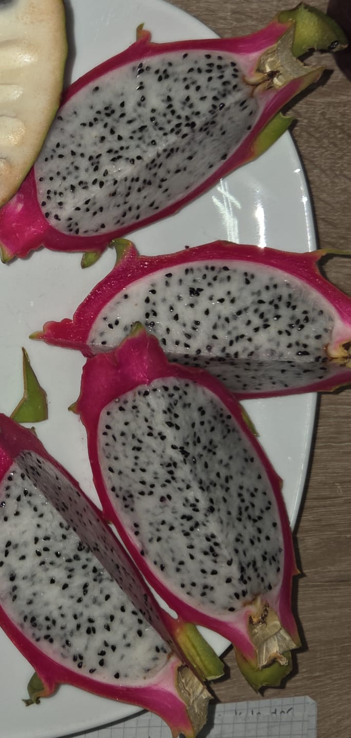 Customer photo review of Drachenfrucht Mix Bio & wild Sonderaktion %