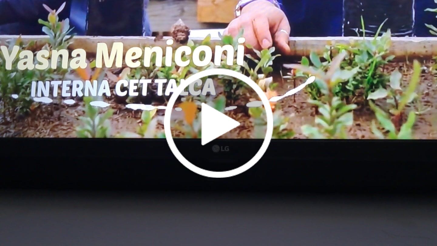 Customer video review of Barra De Sonido Soundbar Blik Surreal24 24W