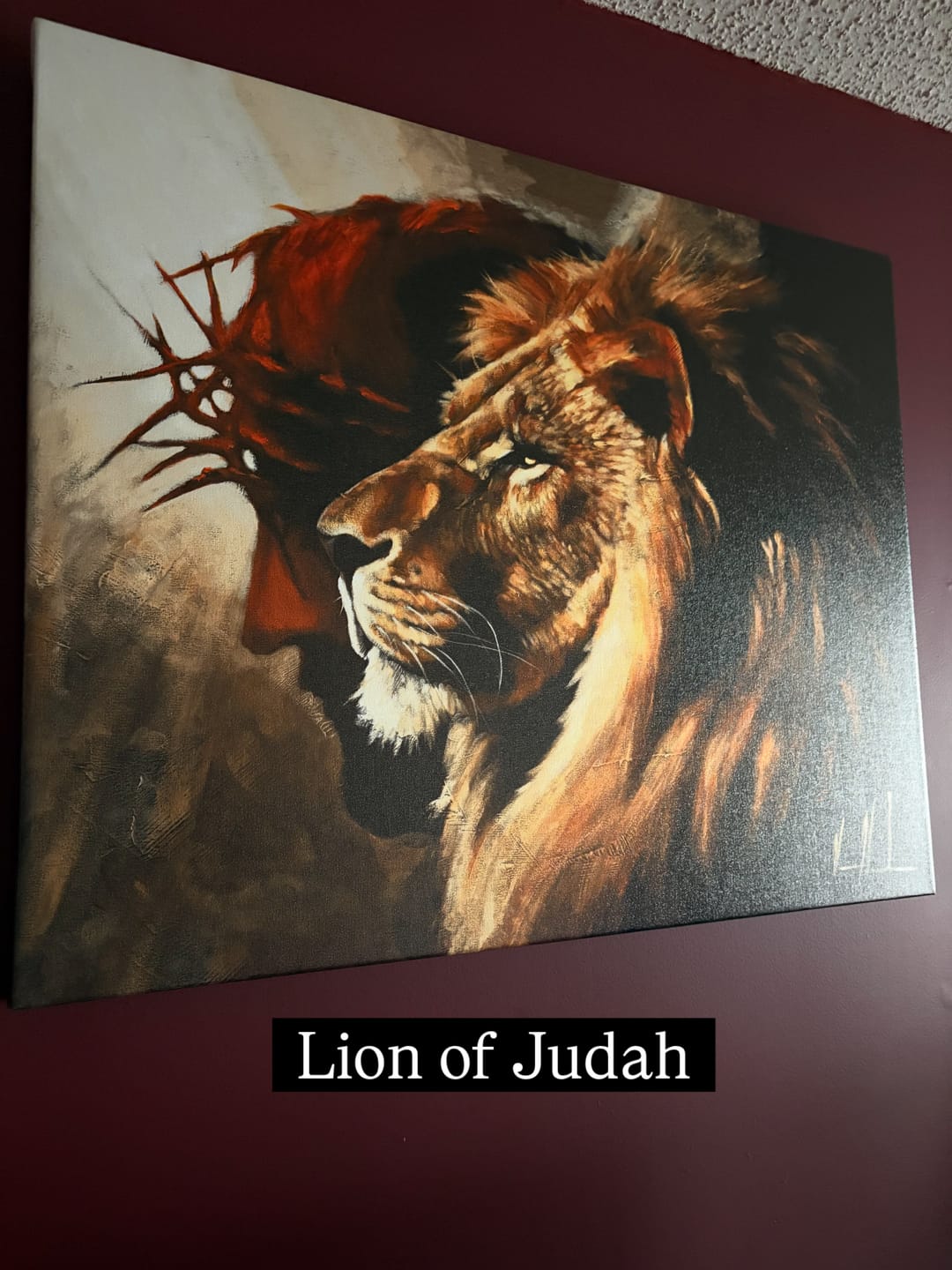 Customer photo review of The Lion of Judah (Peace and Strength)