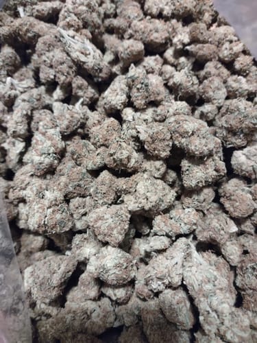 Customer photo review of Blueberry Pancakes - Bulk - Indica