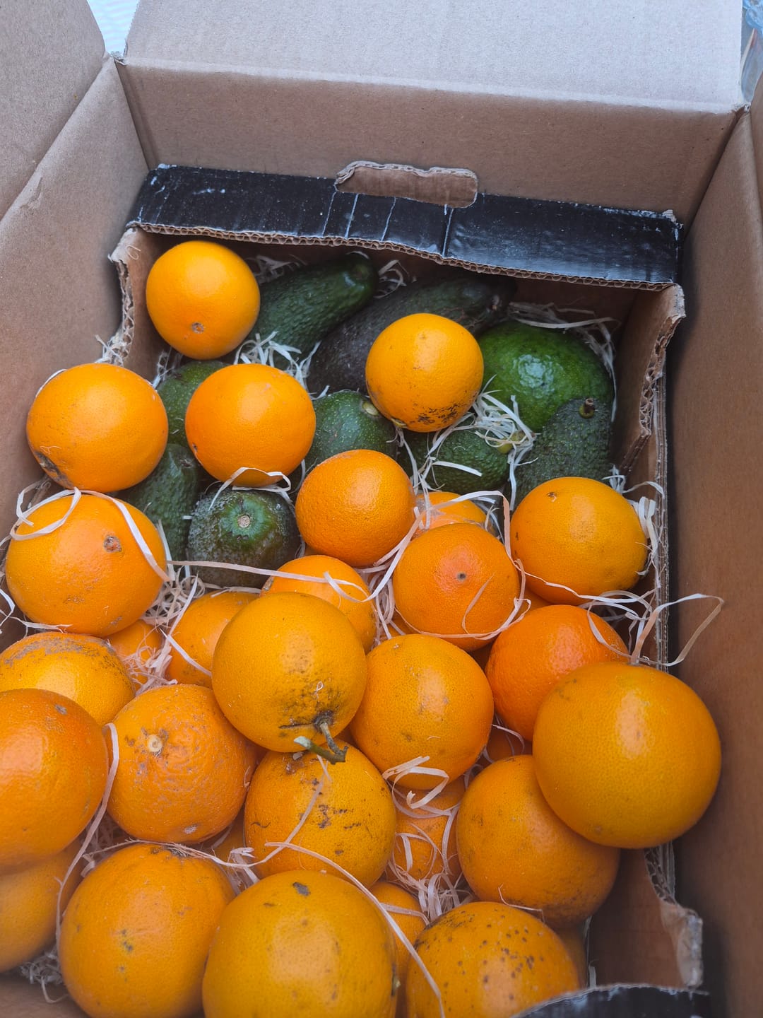 Customer photo review of Saft-Orangen Bio aus Sizilien