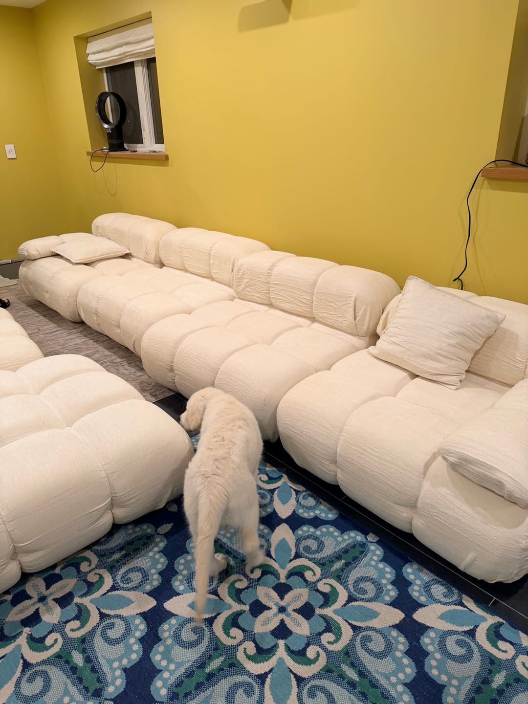 Customer photo review of Marshbello Sectional