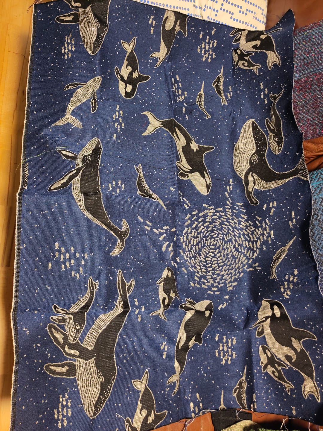 Customer photo review of Whales ‘Nocturnal’