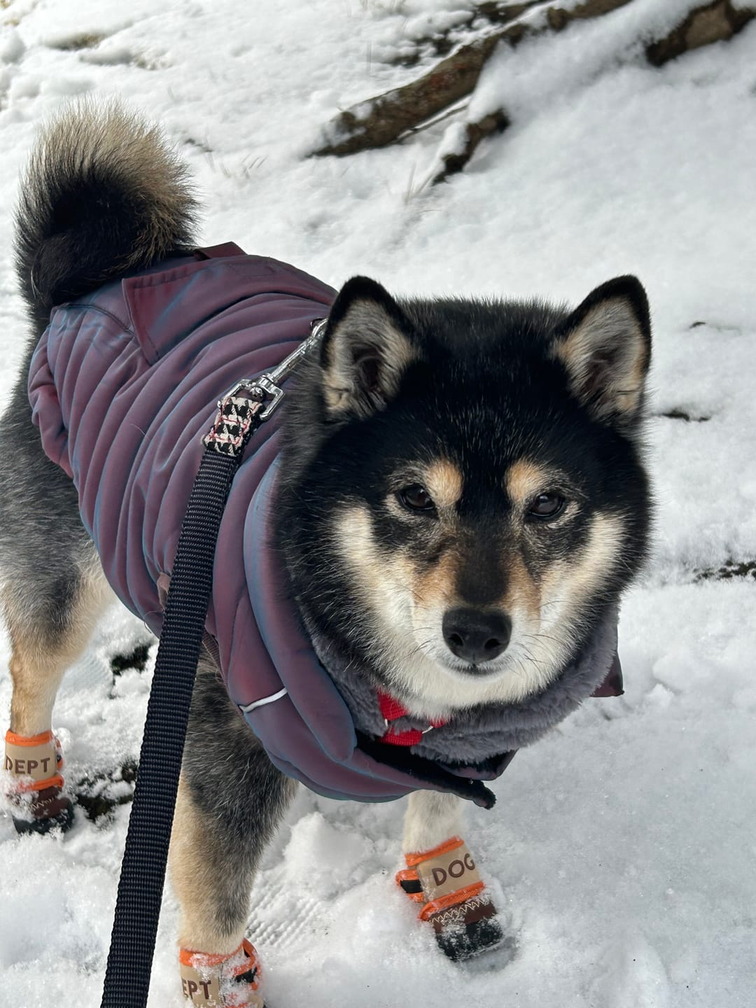 Customer photo review of WarmShield Water-Resistant Jackets