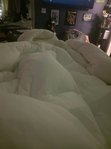 Customer photo review of Shipping Protection