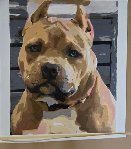 Customer photo review of Custom Pet Paint By Numbers