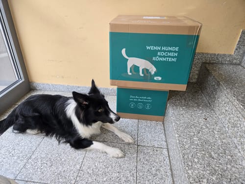 Customer photo review of Frischfutter für Energiebedarf von 976 kCal/Tag