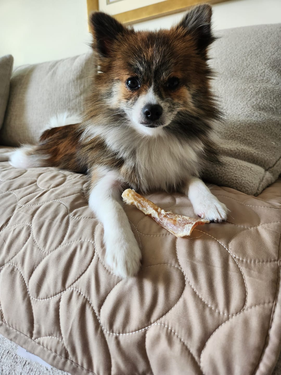 Customer photo review of USA Turkey Tendons
