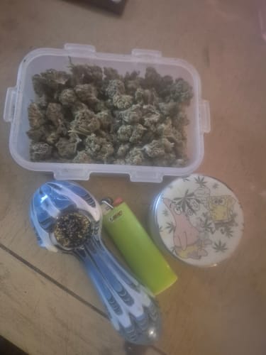 Customer photo review of Triangle kush - Indica