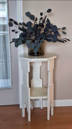 Customer photo of Italian Silver Dollar Eucalyptus from Kathryn T.