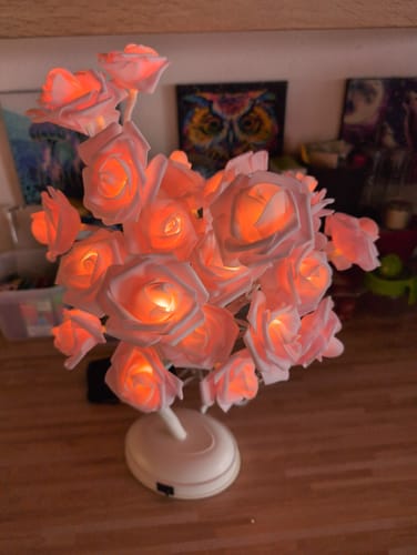 Customer photo review of Bäumlein® - mit 32 LED Rosen