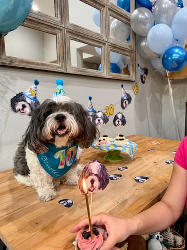 Customer photo review of Lite Personalized Dog Party Pack