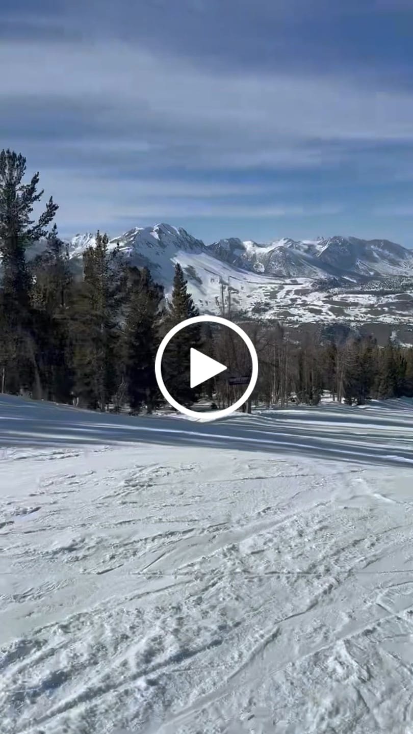 Customer video review of The Valorie Snow Goggle - Photochromic Green Lens