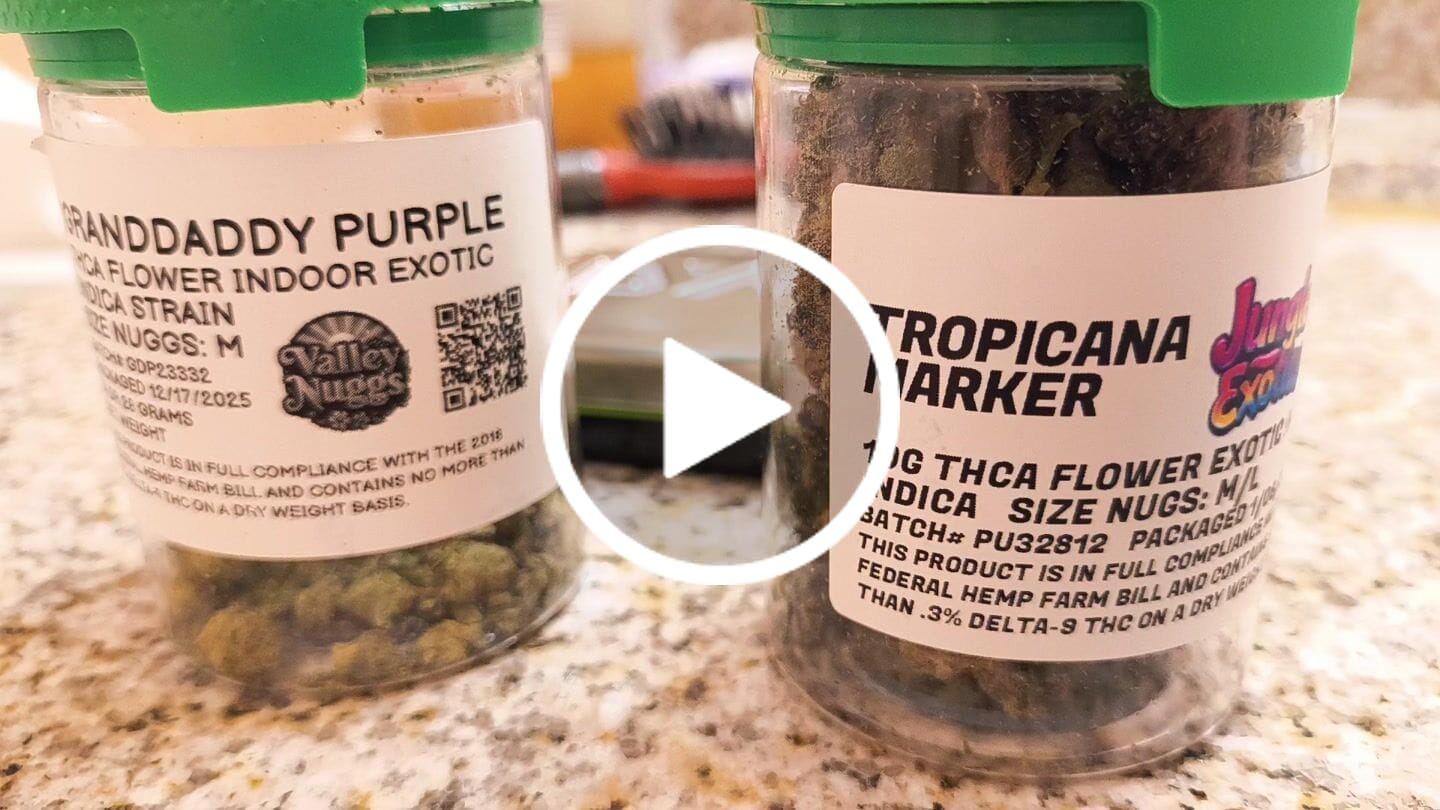 Customer video review of GRANDDADDY PURPLE Indica THCa Exotic Flower Smalls 14g 28g 114g QP