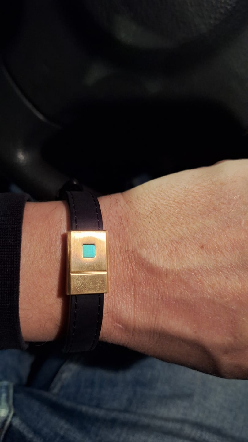 Customer photo review of The Gold Stability