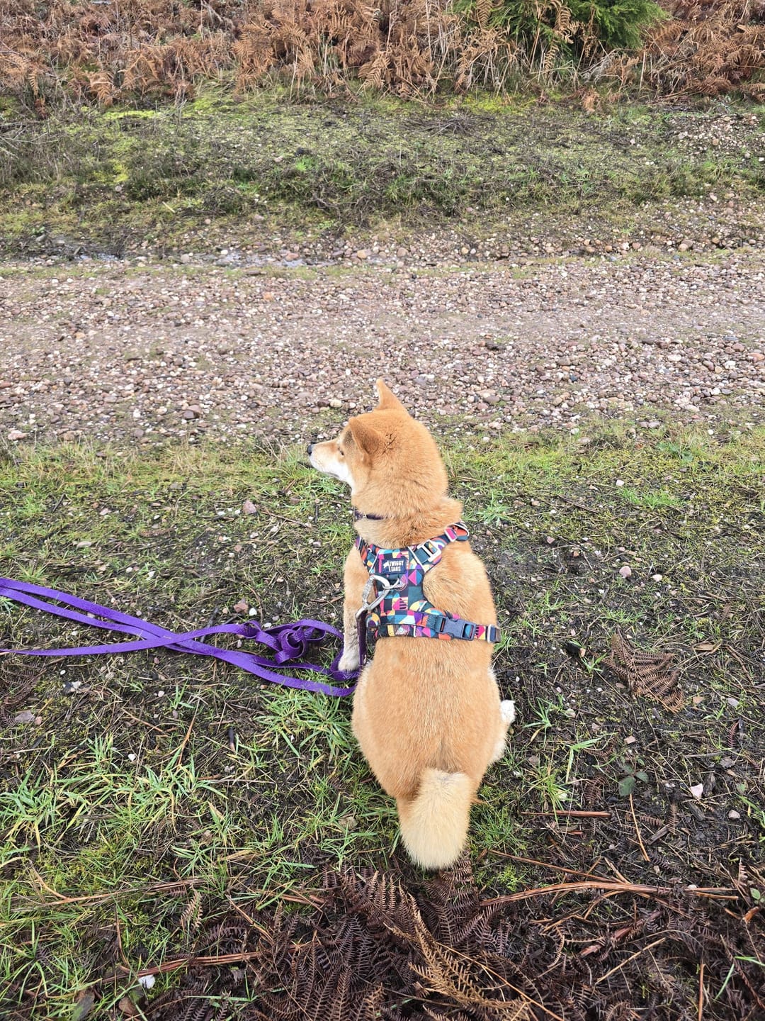 Customer photo review of Tidal Waterproof Longline